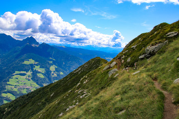 Fototapeta na wymiar Südtirol - Alto Adige - Southtyrol 2019