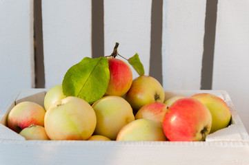 Box of apples one of the most consumed fruits in the world 