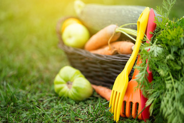Garden tools and vegetables in basket on grass