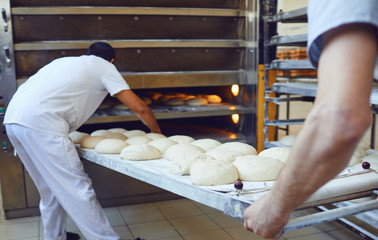 Two Bakers are pushing a tray of bread into the oven at the bakery