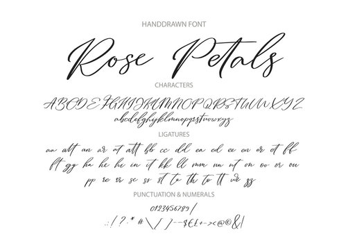 Hand drawn calligraphic vintage vector font. Distress grunge texture. Modern script calligraphy type. ABC typography latin alphabet with ligatures.