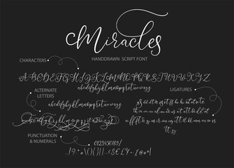 Hand drawn vector alphabet ABC with alternates, ligatures, letters, numbers, symbols. For calligraphy, lettering, hand made quotes.