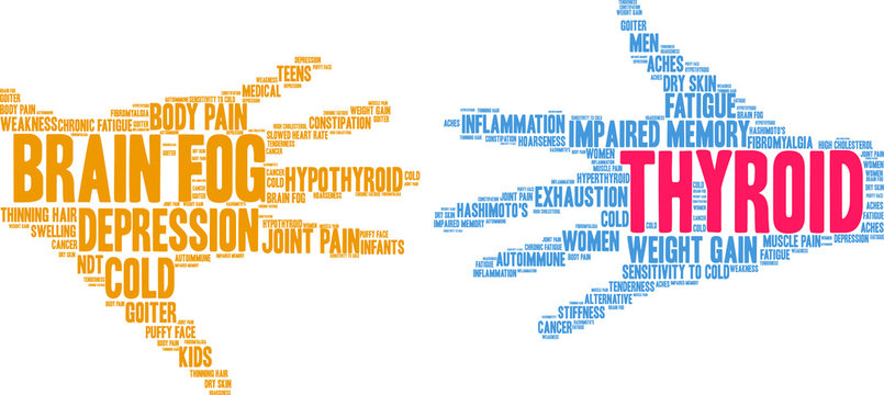 Thyroid Word Cloud on a white background. 