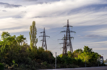 electric poles with high-voltage wires near a highway and thickets of trees.