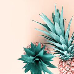 Summer tropical fruit composition