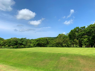 Fototapeta na wymiar Beautiful green grass from golf ground