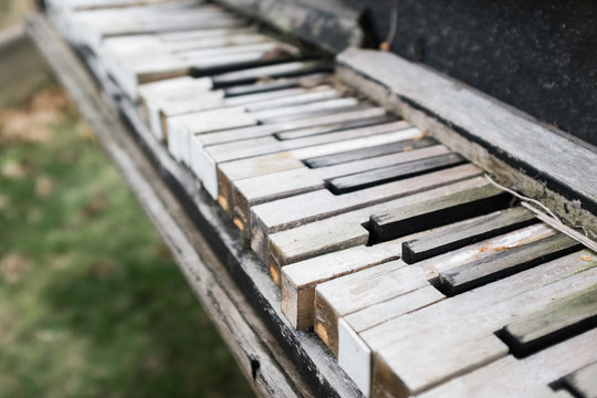 A close-up of a worn piano keyboard that has been left outside.