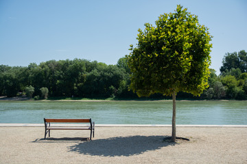 A tree and a bench on the river bank, peaceful and relaxing.
