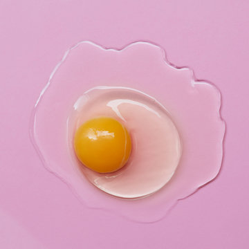 Fresh egg yolk