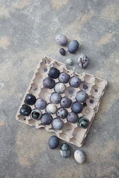 Blue eggs in tray