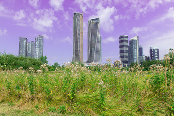 Fototapeta premium Landmark view at modern buildings near the Humber Bay Park in Etobicoke, Ontario, Canada