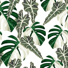 Exotic white monstera leaves , tropical seamless pattern.