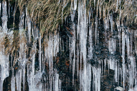 Large icicles on the cliff wall in Boscastle. Cornwall, UK.