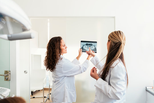 Dentist showing something to her colleague on x-ray image.