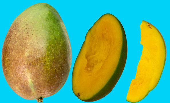 Mangoreihe auf Hellblauen Hintergrund