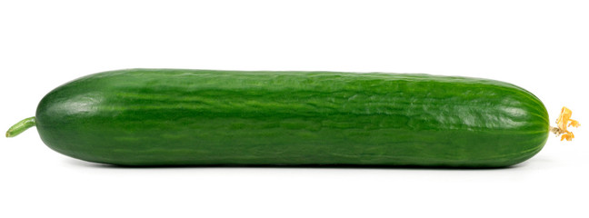 One green cucumber on a white background. One cucumber on a white background close up