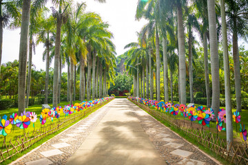 Danzhou Stone Flower Caves, Geopark next to Haikou, Hainan, China