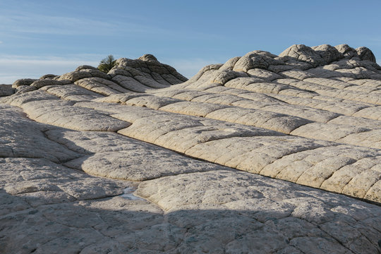 View of eroded sandstone rock formations at dawn, White Pocket, Arizona
