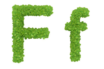 Letter F. Alphabet nature leaf font - 3D iIlustratión