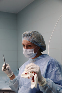 The surgeon is performing surgery in a veterinary clinic