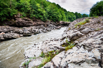 Summer landscape with mountain river, rocks and green forest