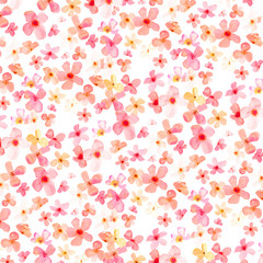 Painted Watercolor Flowers. Pink Spring Flowers