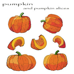 the set of  isolated image of orange pumpkins on a white background, drawings and doodles 