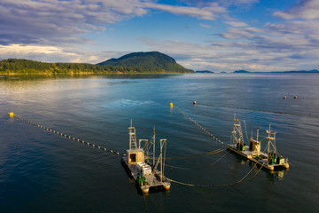 Reefnet Salmon Fishing Boats Off Lummi Island, Washington. Wild Pacific salmon reefnet fishing is...