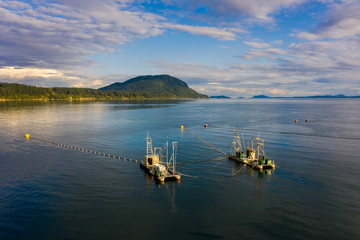 Reefnet Salmon Fishing Boats Off Lummi Island, Washington. Wild Pacific salmon reefnet fishing is an historical Pacific Northwest fishing method- the oldest known salmon net fishery in the world.