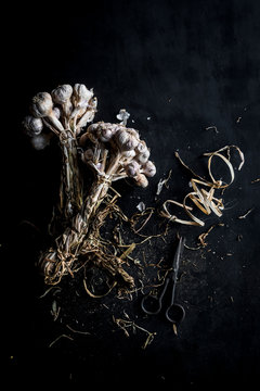 Asian garlic