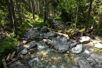 Naklejka na ściany i meble Stream in Koprova valley, High Tatras, Slovakia