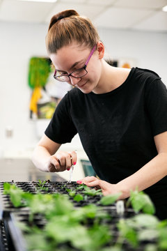 Gardening: Teen Girl Working With Seedlings