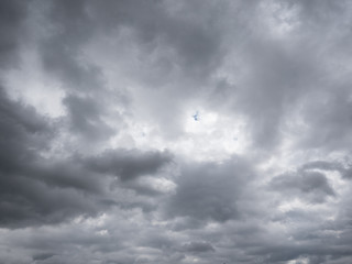 Fototapeta premium Beautiful various forms clouds in the high sky