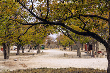 campsite of etosha national park in namibia