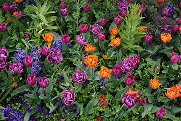Beautifully composed late spring border