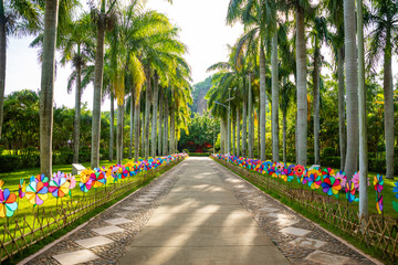 Danzhou Stone Flower Caves, Geopark next to Haikou, Hainan, China