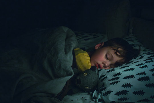 Sleeping child with stuffed animal