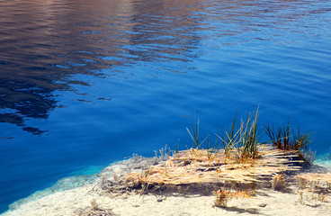 Band-e Amir lakes near Bamyan (Bamiyan) in Central Afghanistan. Band e Amir was the first national park in Afghanistan. Detail of reed at the shore of a natural blue lake at Band e Amir, Afghanistan.