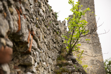 Ruin Korlatko Slovakia