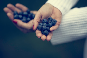 Blaubeeren