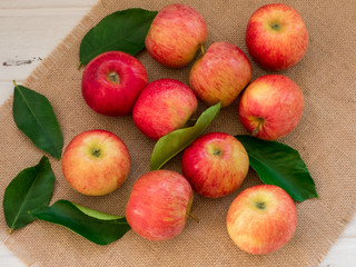 Apples of red and pink color  on a canvas on the   table, close up, from above
