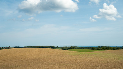 Obraz premium Landscape - view over a field in Österlen, Sweden in the summertime.