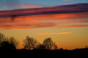 Abenddämmerung mit Bäumen