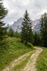 Panoramic mountain road / path in Italian Alps in middle of august