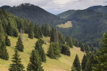 Meadows in Slovakia Paradise, Kopanec