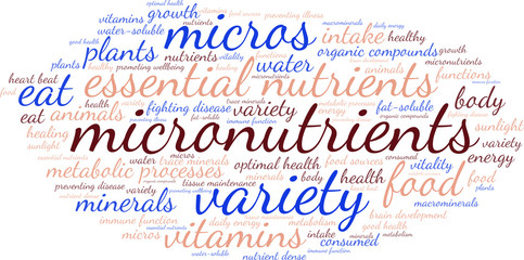 Micronutrients Word Cloud on a white background. 