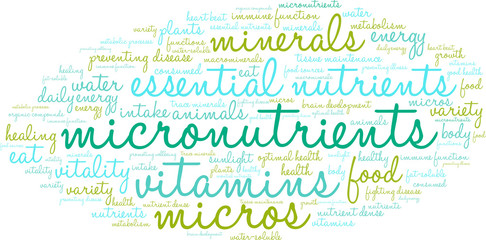 Micronutrients Word Cloud on a white background. 