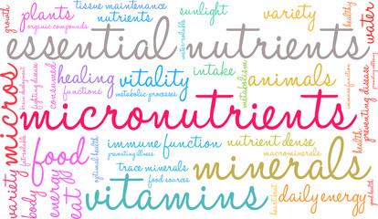 Micronutrients Word Cloud on a white background. 