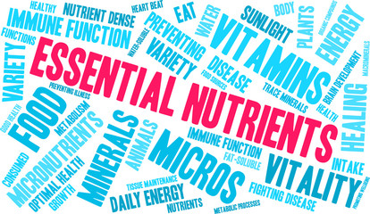 Essential Nutrients Word Cloud on a white background. 