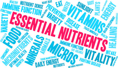 Fototapeta premium Essential Nutrients Word Cloud na białym tle.